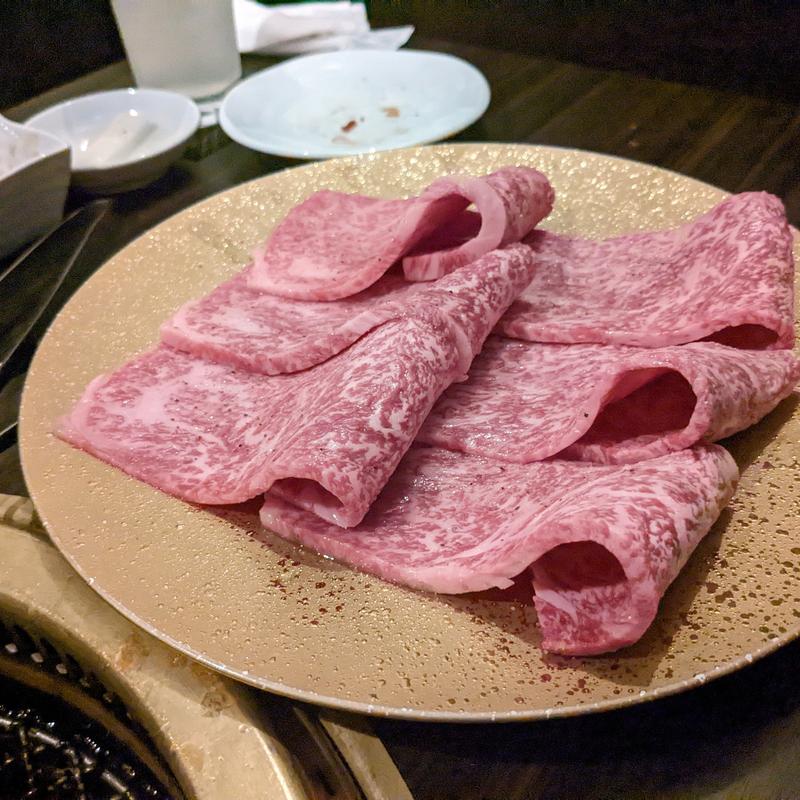 霜降り肉(SATO ブリアン )