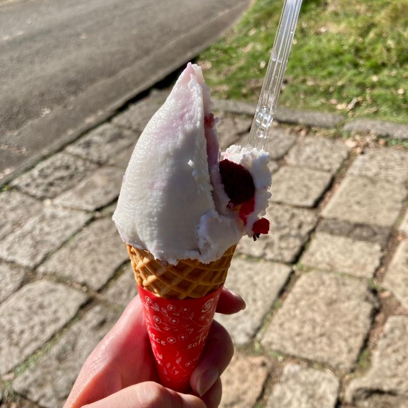 いちごミルクジェラート　シングルコーン(アイス工房 CASALINGA（カサリンガ）)