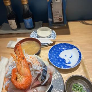 10種の海鮮丼(狸co)