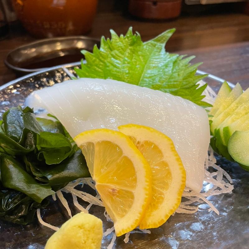 アオリイカお造り(酔ってこ屋 恒幸)