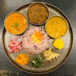 カレー3種(Curry Spice Gelateria KALPASI （カリースパイスジェラテリアカルパシ）)