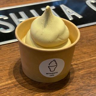 ピスタチオソフトクリーム (ミニカップ)(MIYASHITA CAFE +softcream)