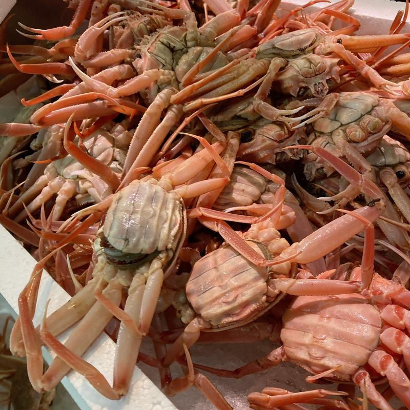 香箱蟹(金沢港いきいき魚市)