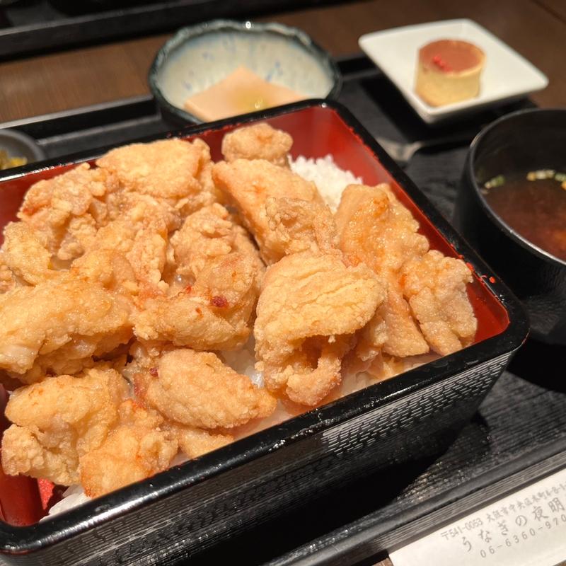 唐揚げ重(うなぎの夜明け)