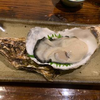 岩ガキ(海鮮居酒屋 つっち～)