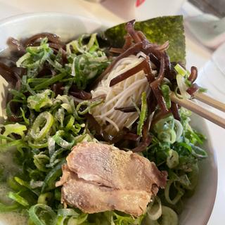 ねぎキクラゲ(博多天神 新橋1号店 （はかたてんじん）)