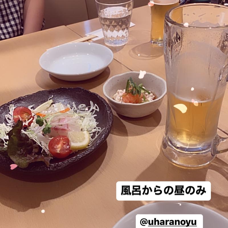 (恋野温泉うはらの湯)