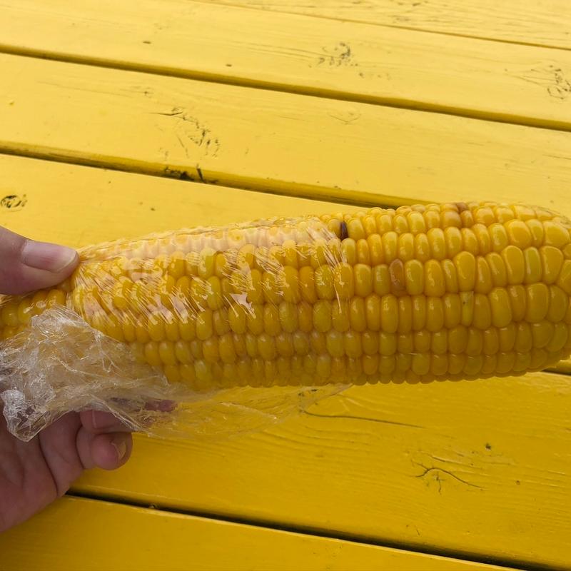 焼きとうきび(由仁パーキングエリア下り線売店 )