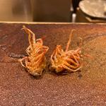 おまかせ(天ぷらあら木)