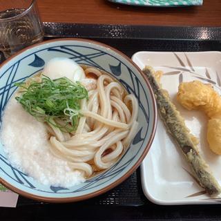 トロ玉うどん(丸亀製麺帯広)