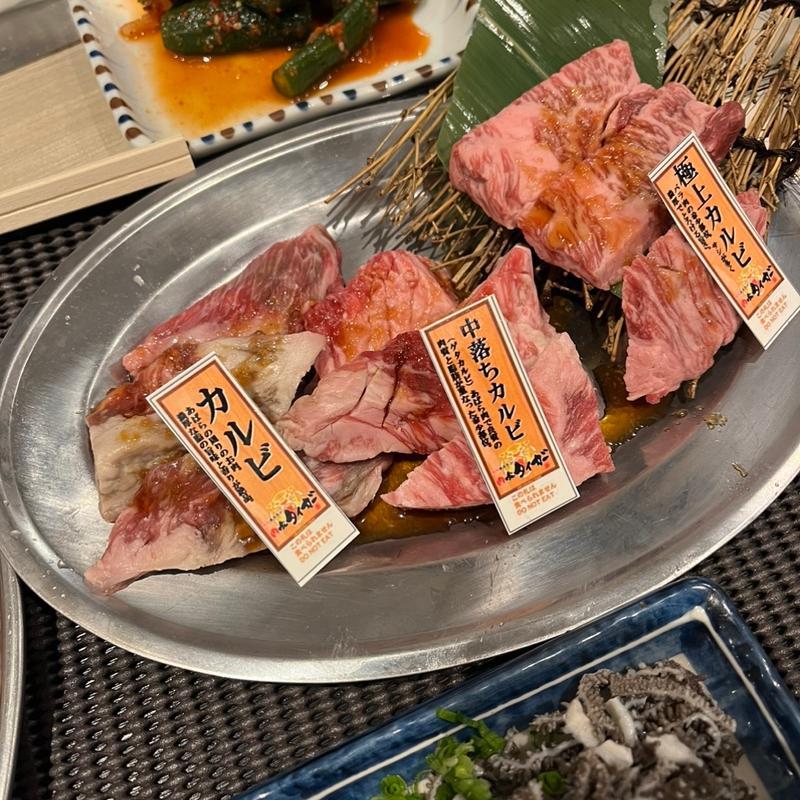 (焼肉ホルモン肉喰タイガー岐阜大垣店)