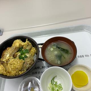 カツ丼(札幌市役所地下食堂)