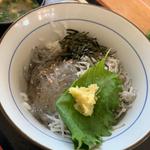 しらす丼