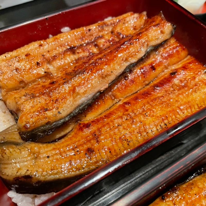 天然うな重(ひら井 )