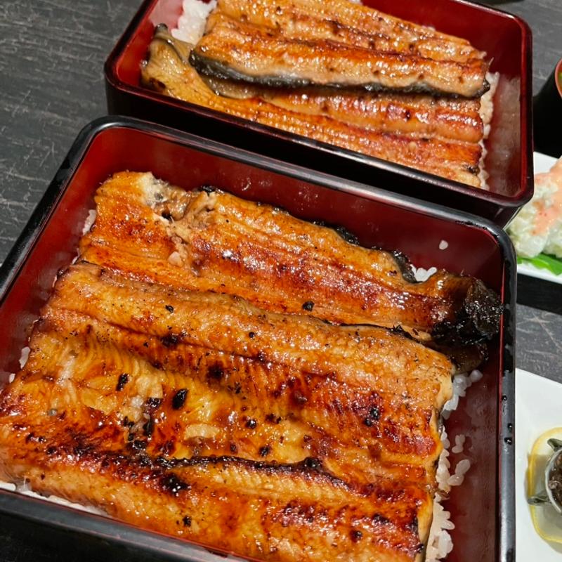 うな重 養殖（下）と天然（上）(ひら井 )