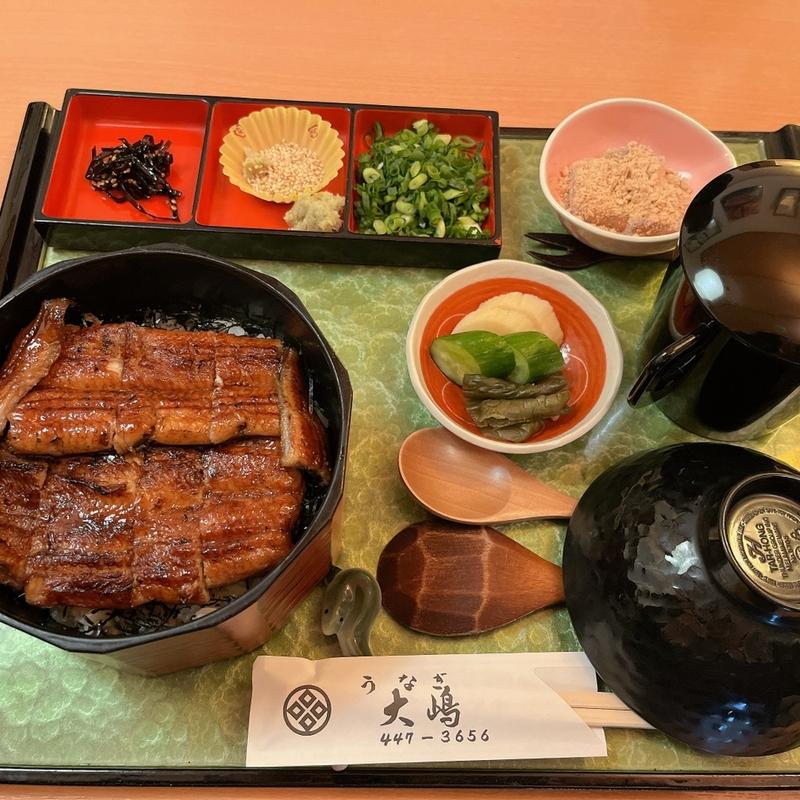 共水トロまぶし茶漬け(うなぎ大嶋 （うなぎおおしま）)