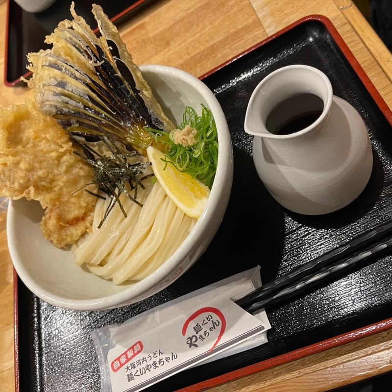 ぶっかけうどん　2つトッピング(麺くい やまちゃん)