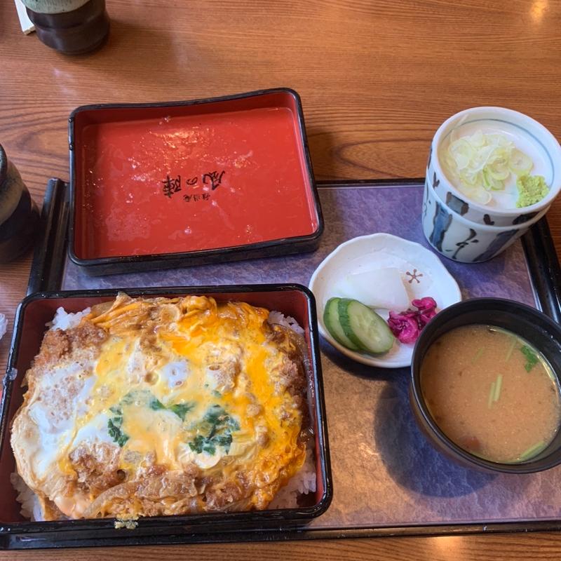 かつ丼(手打ち蕎麦 雅遊庵 風の陣)