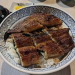 特製うなぎ丼