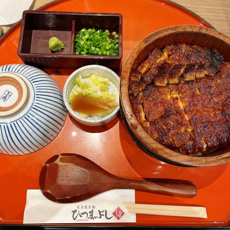 しら河のひつまぶし(しら河 栄ガスビル店)