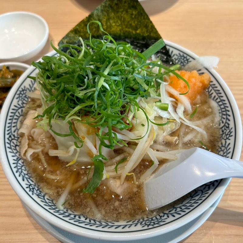 野菜肉そば(丸源ラーメン 三河安城店)