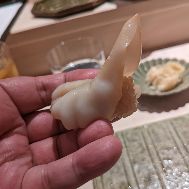 イシカゲガイ(鮨 若尊)