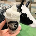 シングルカップ