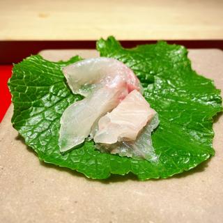 おまかせコース 雪家(雪家)