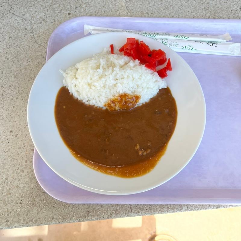 カレーライス(とちのきファミリーランド 売店 )
