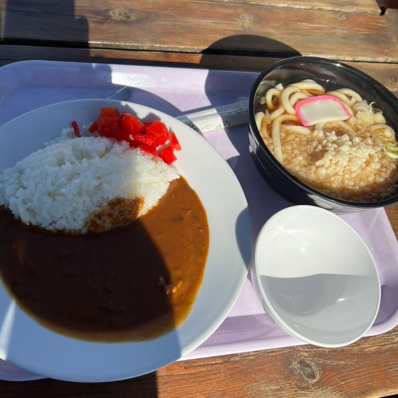 カレーライス、たぬきうどん(とちのきファミリーランド 売店 )