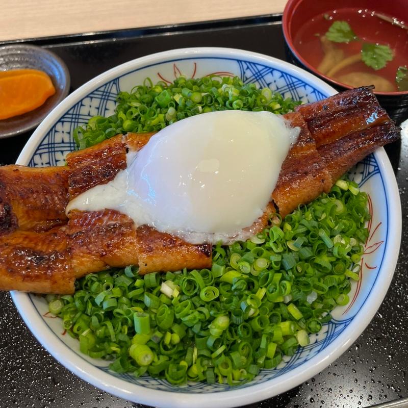 ねぎ玉鰻丼(うなぎの駅)