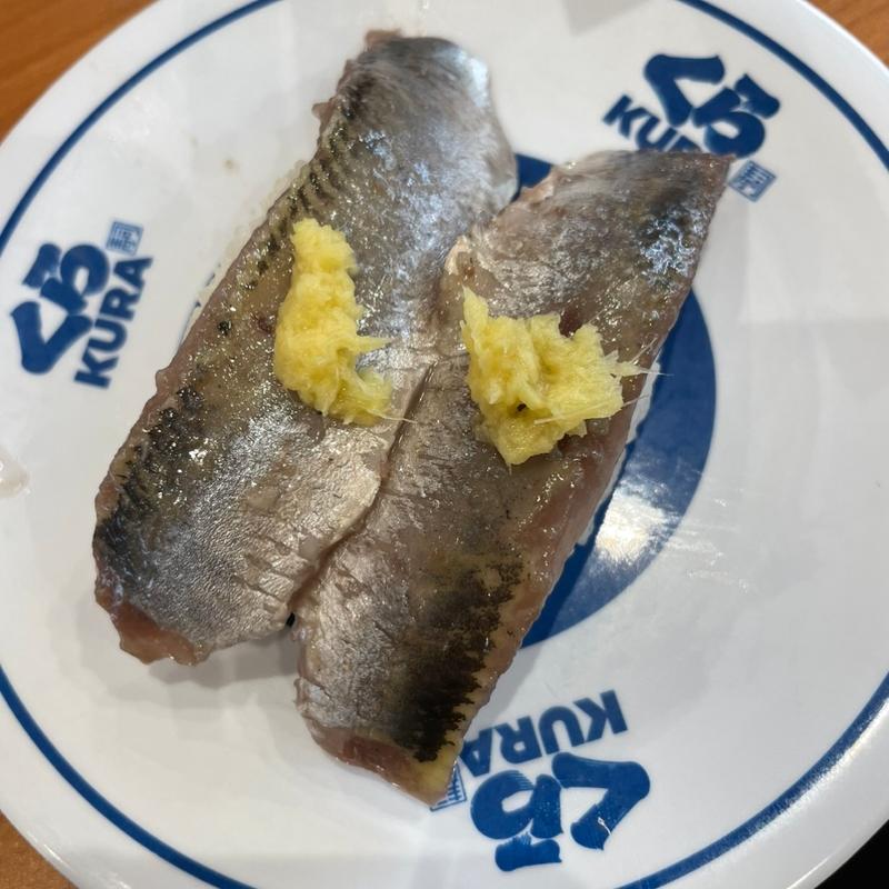 いわし(くら寿司 新潟紫竹山店)