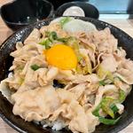 すた丼並