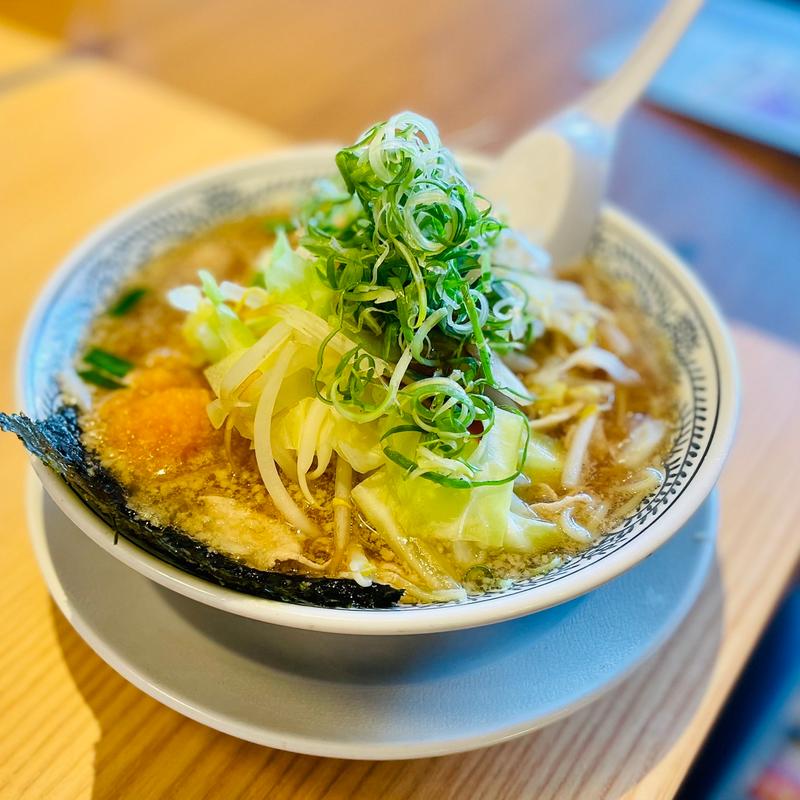 熟成醤油ラーメン野菜肉そば(丸源ラーメン 大泉学園店)