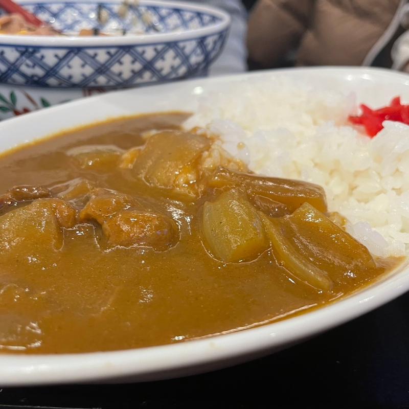カレーライス(蕎麦膳はやま)