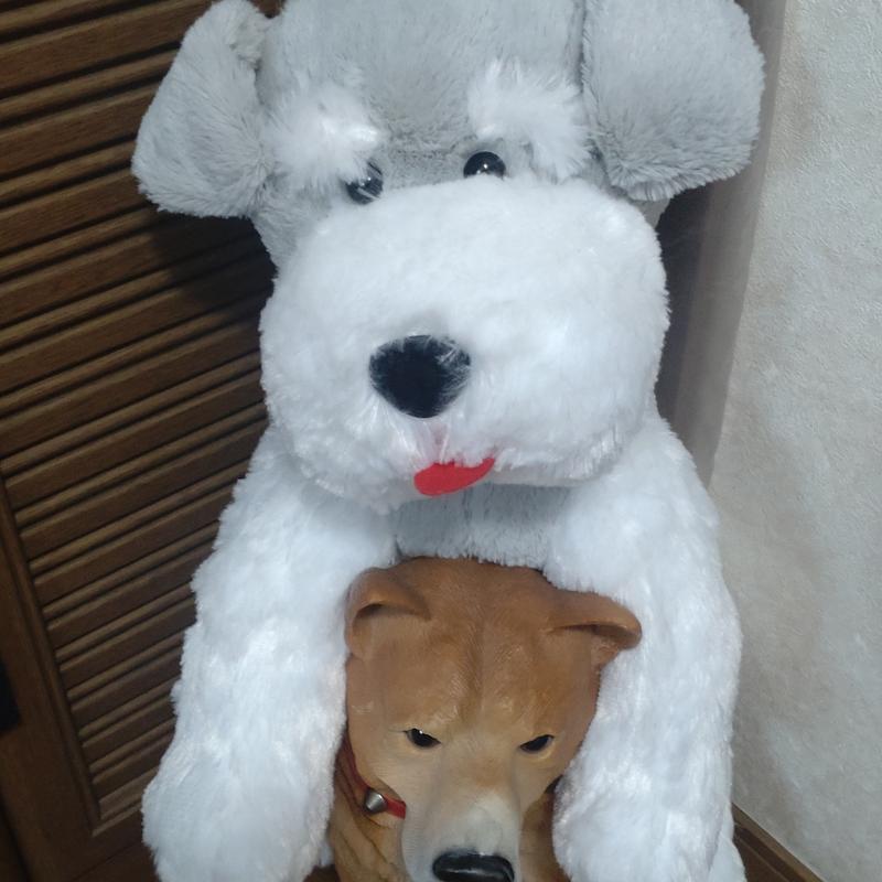 ロールキャベツグラタン(のうえんカフェ)