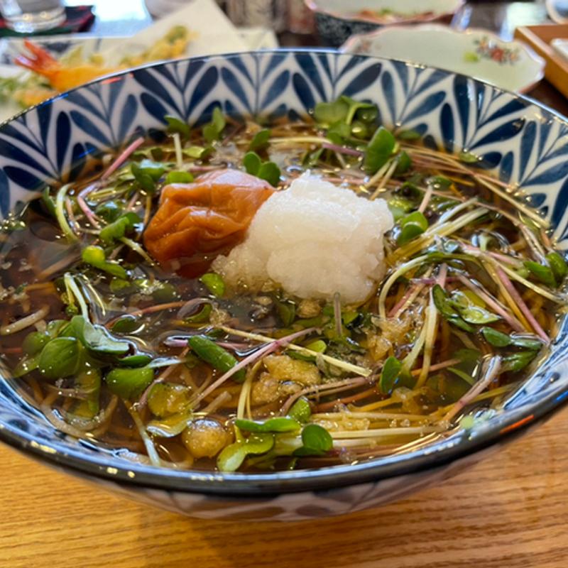 梅おろしの彩そば【冷かけ】(食菜　かま田 （かまた）)
