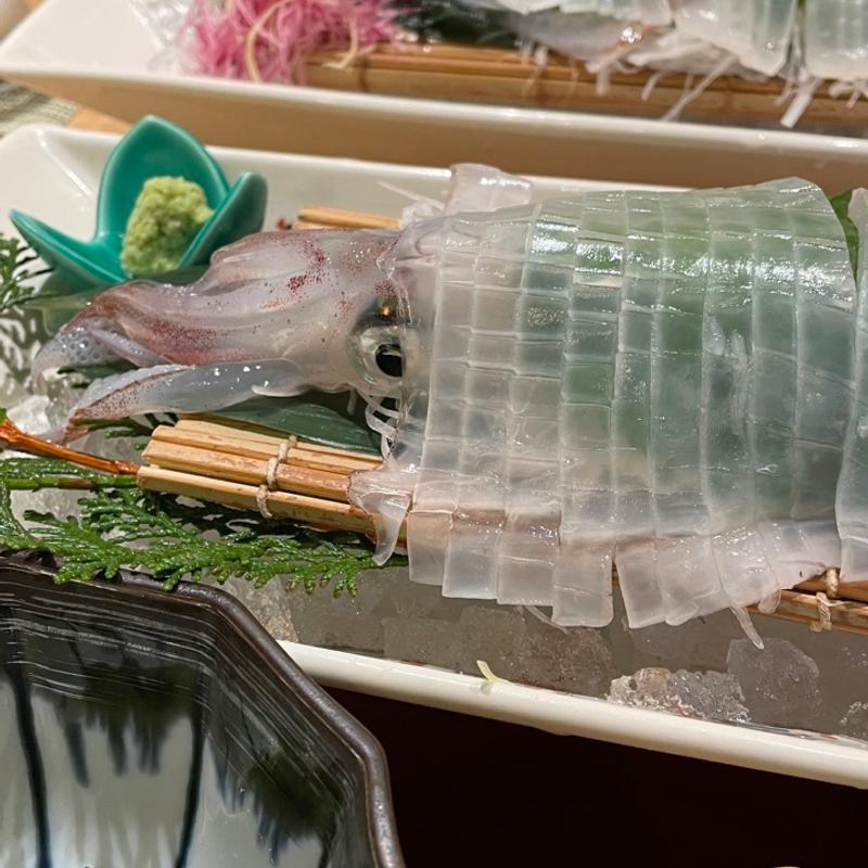 イカ刺し(博多 魚蔵)