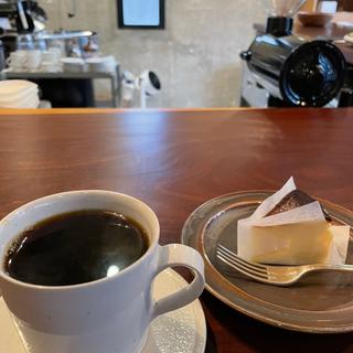 いわくまブレント(いわくま)