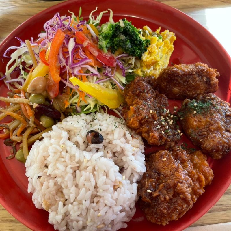 唐揚げプレート(SHIMATORI 米子店)