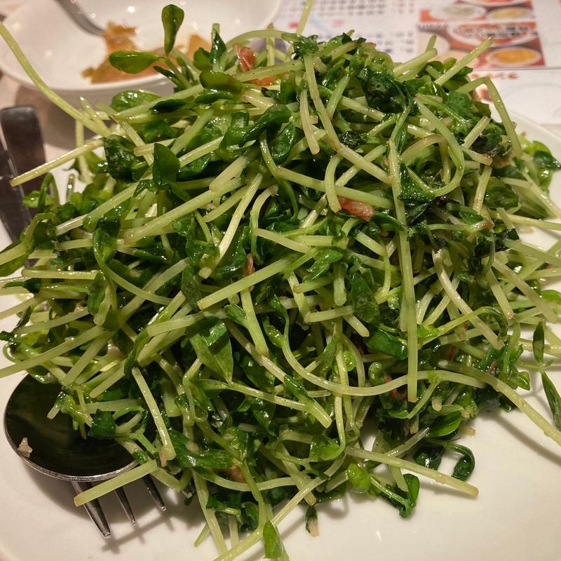 豆苗と小海老炒め(天天)