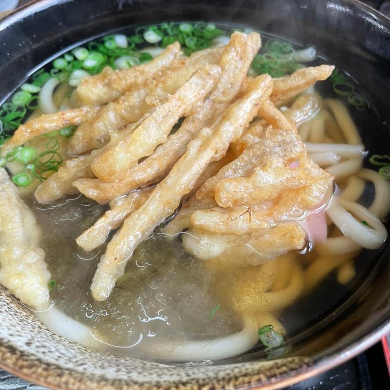 ごぼう天うどん(京風うどん はちや )