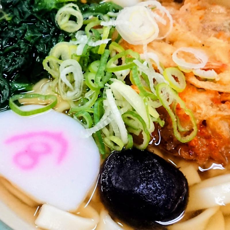 白えび入り　かき揚げきしめん(宮きしめん神宮店)