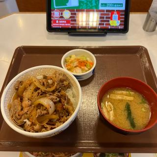 牛丼みそ汁おしんこセット(すき家 川口榛松店 )