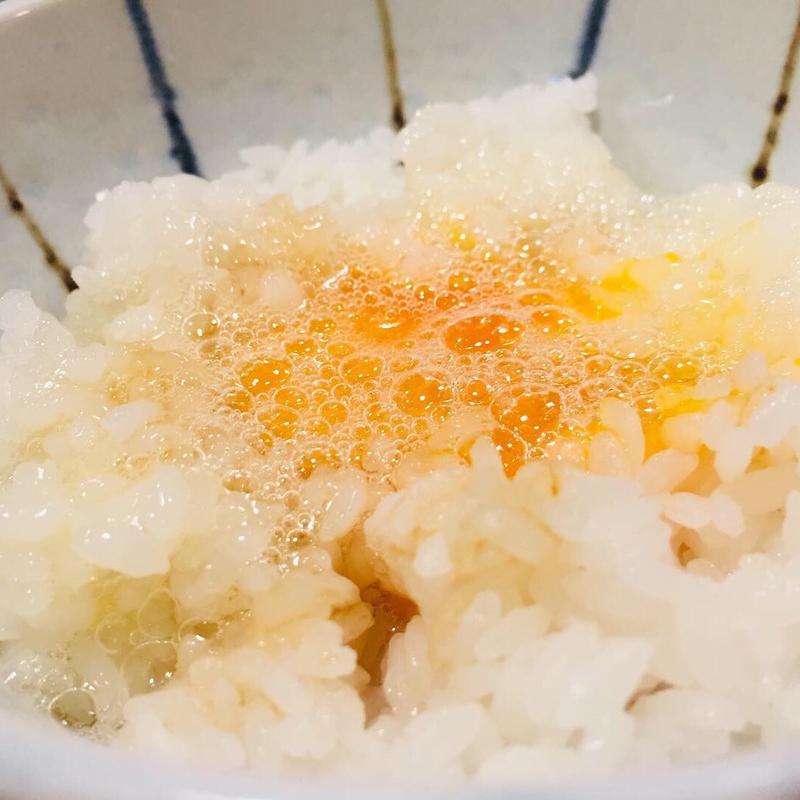 糸島たまごのぶっかけごはん(うまや)
