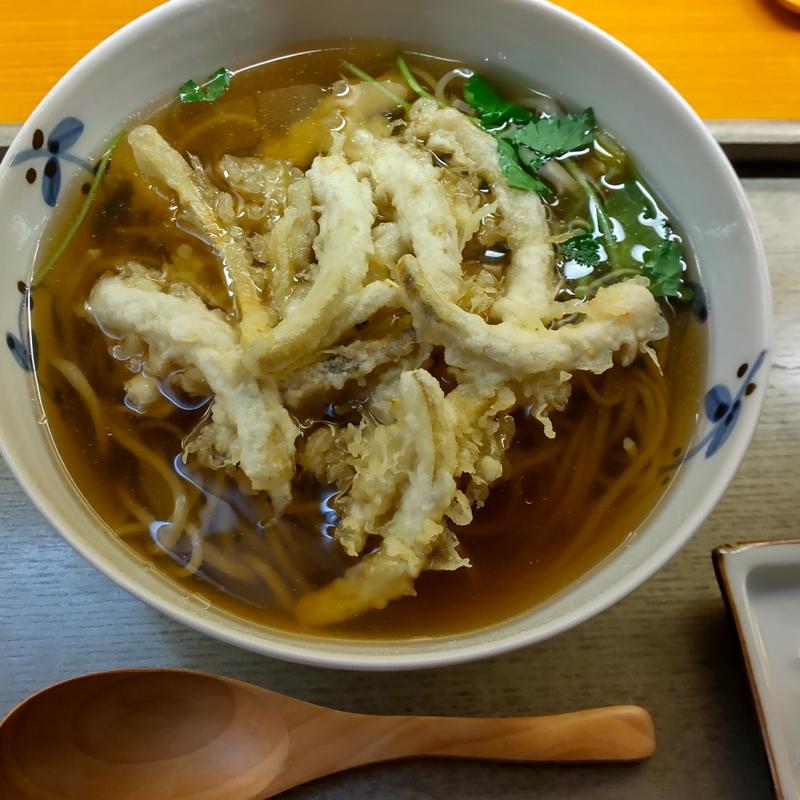 ごぼうかき揚げそば(手打ちそばさかき)