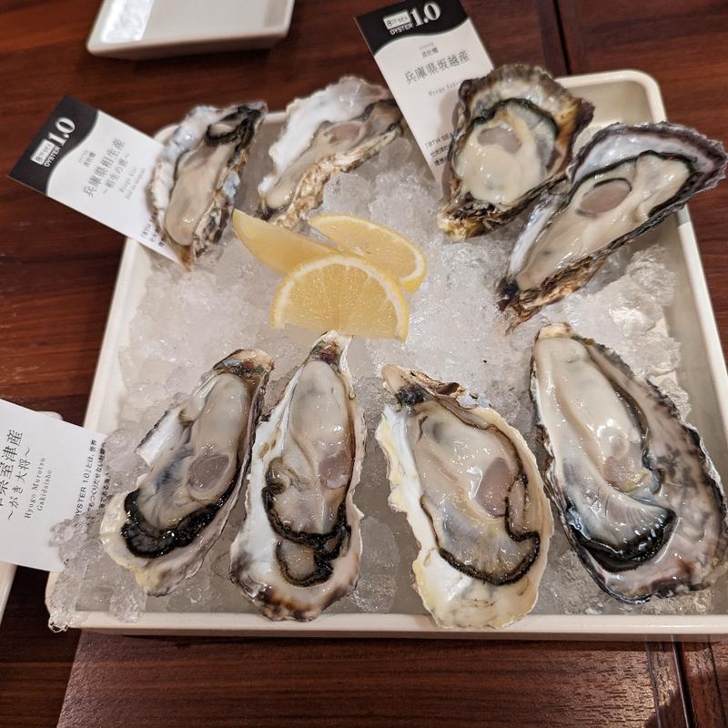 本日の生牡蠣(8P)(ザ·カーブ·ド·オイスター)