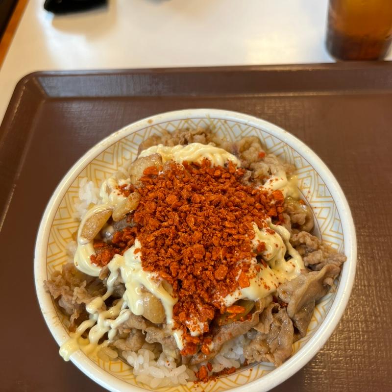 (すき家 甲州街道柴崎店)