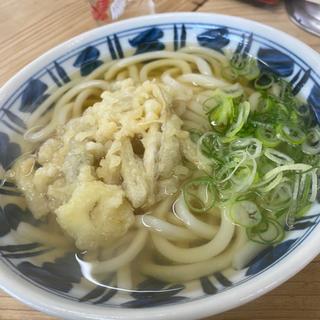 ごぼう天うどん(弥太郎うどん)