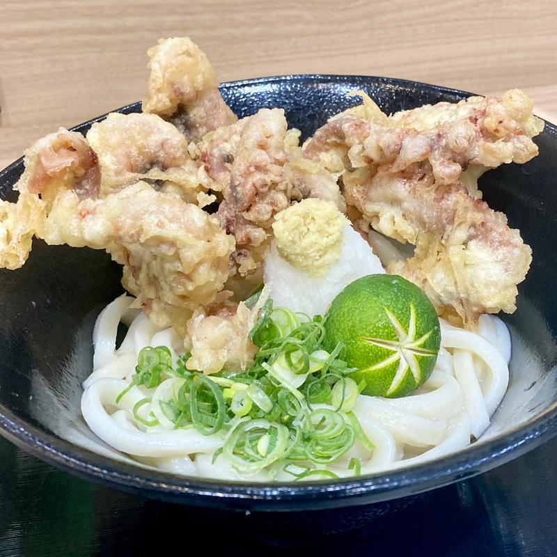 生醤油げそ天うどん(讃岐うどん 白庵 （BYAKUAN びゃくあん）)